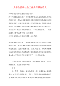 大学生促销社会工作实习报告范文