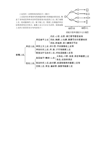 上皮组织(动物体的结构层次1课时)