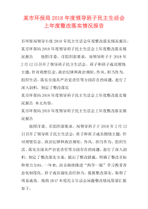 某市环保局2018年度领导班子民主生活会上年度整改落实情况报告