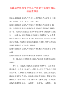 民政局党组落实全面从严治党主体责任情况的自查报告