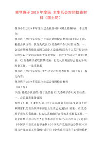 领导班子2019年度民 主生活会对照检查材料（国土局）