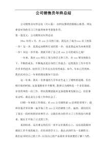 公司销售员年终总结