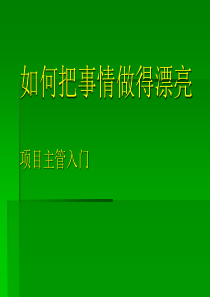 如何把事情做漂亮(主管入门教程)