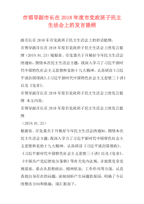 市领导副市长在2018年度市党政班子民主生活会上的发言提纲