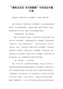 “聚焦总目标 作风再整顿”专项活动专题汇报