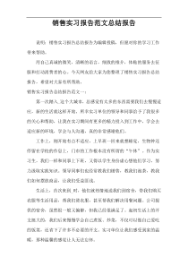 销售实习报告范文总结报告