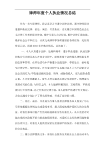 律师年度个人执业情况总结