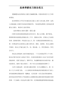 赴美带薪实习报告范文