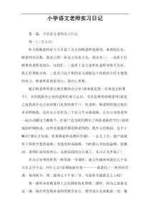 小学语文老师实习日记