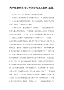 大学生暑期实习心得体会范文及收获(五篇)