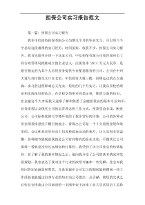 担保公司实习报告范文