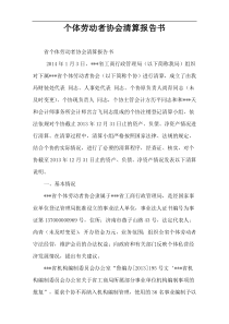 个体劳动者协会清算报告书