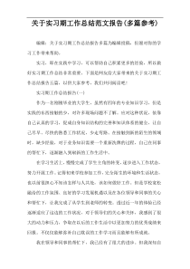 关于实习期工作总结范文报告(多篇参考)