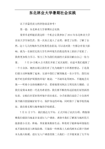 东北林业大学暑期社会实践