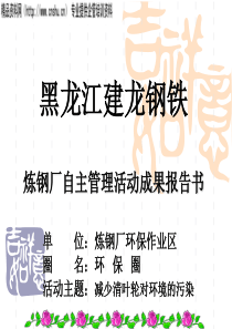 某某钢铁炼钢厂自主管理活动成果报告书(PPT24页)