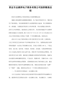 职业专业教师电子商务有限公司挂职锻炼总结