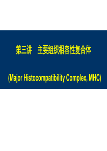 主要组织相容性复合体_MHC