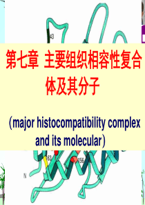 主要组织相容性复合物及其分子