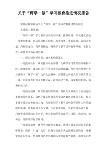 关于“两学一做”学习教育推进情况报告