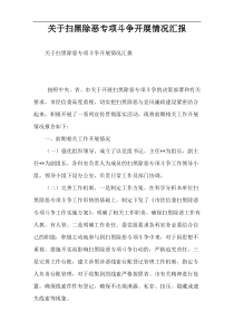 关于扫黑除恶专项斗争开展情况汇报