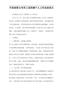 开发投资公司员工试用期个人工作总结范文