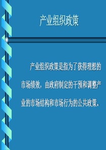 产业组织政策(2)