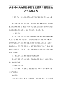 关于对中央扫黑除恶督导组反馈问题的整改具体实施方案