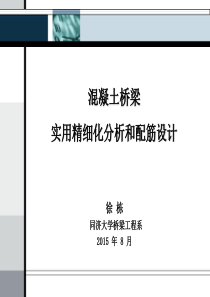 混凝土桥梁实用精细化分析和配筋设计