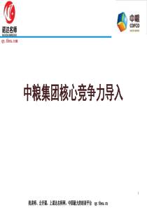 中粮集团核心竞争力PPT模板