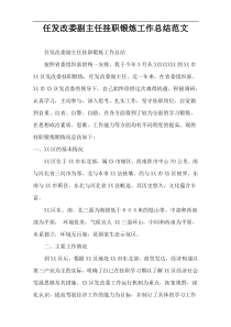 任发改委副主任挂职锻炼工作总结范文