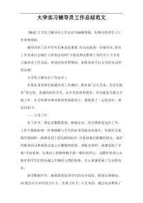 大学实习辅导员工作总结范文