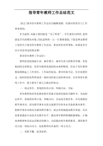 指导青年教师工作总结范文