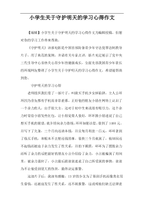 小学生关于守护明天的学习心得作文