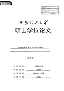 产业集群竞争力的分析与评价