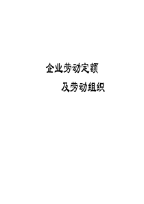 企业劳动定额及劳动组织