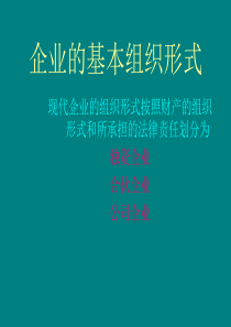 企业的基本组织形