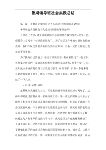 暑期辅导班社会实践总结