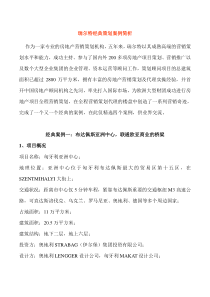 瑞尔特经典房地产策划案例简析(1)