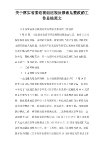 关于落实省委巡视组巡视反馈意见整改的工作总结范文