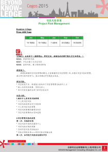 项目风险管理