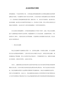 企业如何执行系统(doc5)(1)