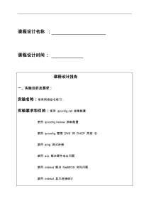 常用网络命令实验报告