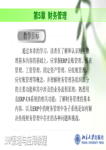 ERP原理与应用教程温雅丽第5章财务管理