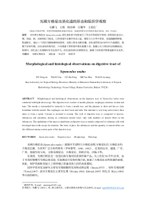 光裸方格星虫消化道的形态和组织学观察