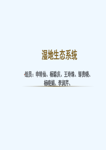 湿地生态系统-PPT