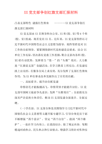 XX党支部争创红旗支部汇报材料