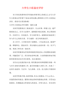 大学生小组鉴定评价