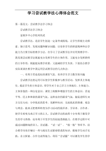 学习尝试教学法心得体会范文