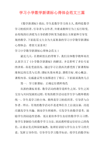 学习小学数学新课标心得体会范文三篇