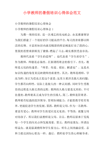 小学教师的暑假培训心得体会范文